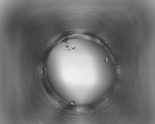 X0000064740264200602241808