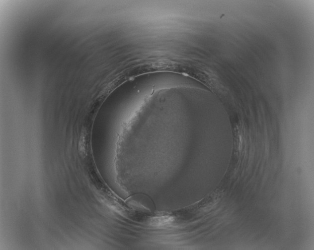 X0000064740266200602241808