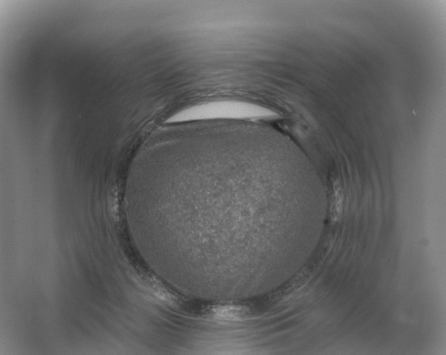 X0000064740268200602241809