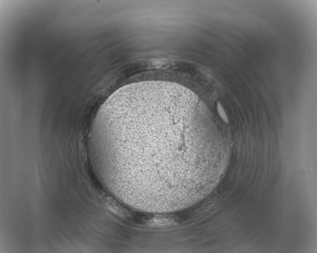 X0000064740270200602241809