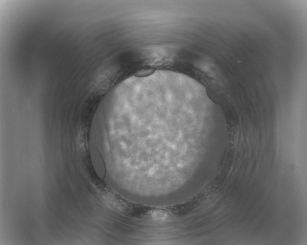 X0000064740272200602241809