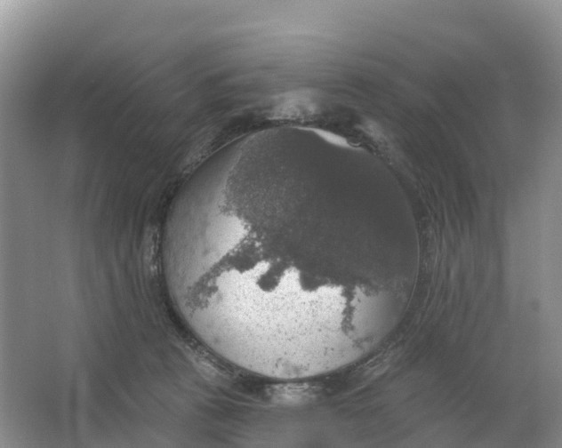 X0000064740273200602241809