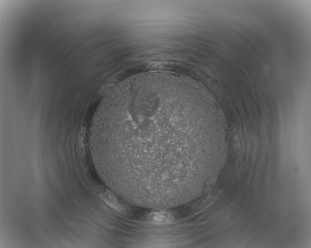 X0000064740275200602241809