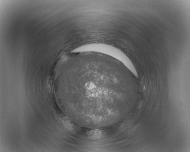 X0000064740276200602241809