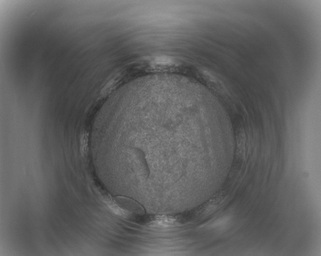 X0000064740278200602241809