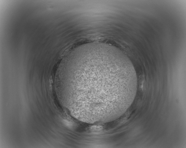 X0000064740279200602241809