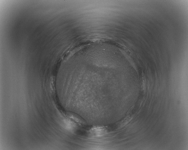 X0000064740280200602241809