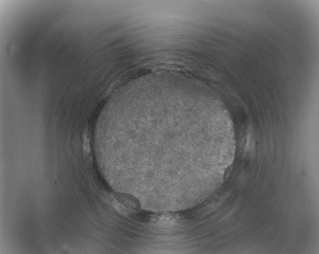 X0000064740282200602241809