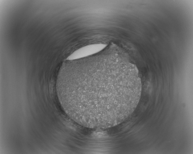 X0000064740283200602241809