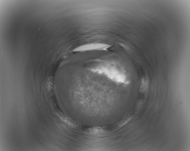 X0000064740284200602241809