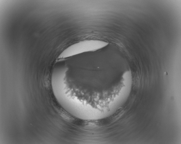 X0000064740285200602241809