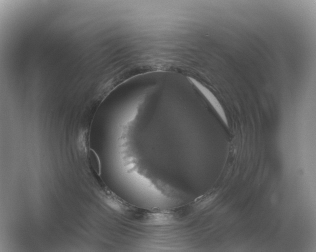 X0000064740286200602241809