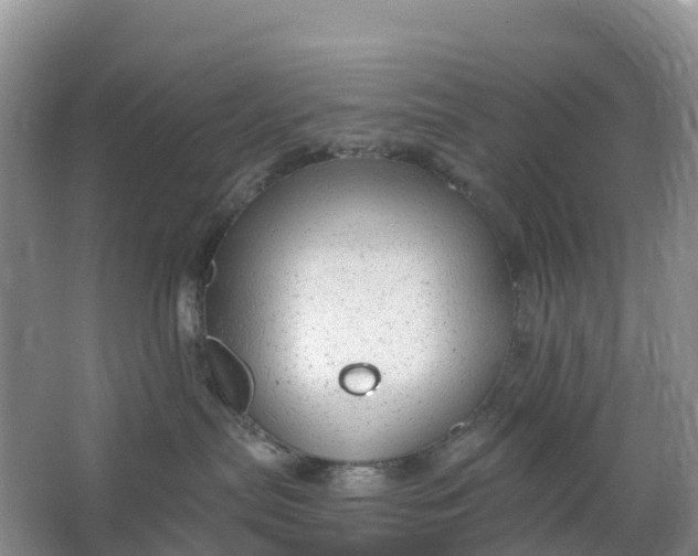 X0000064740287200602241809