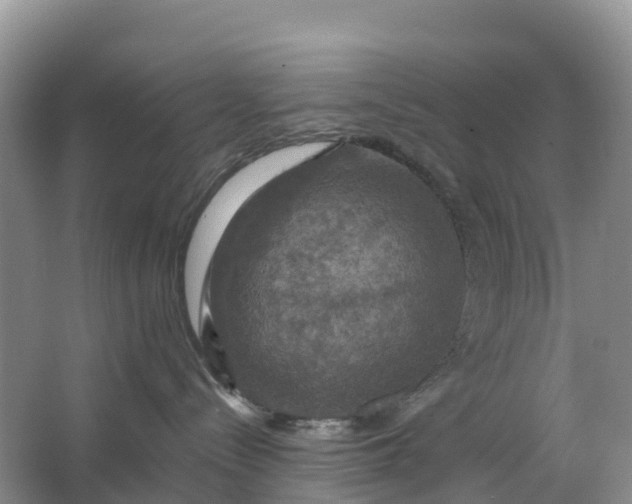 X0000064740288200602241809