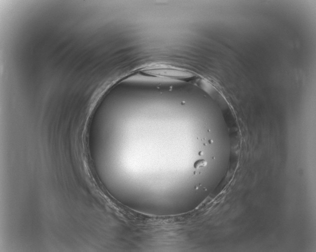 X0000064740289200602241808