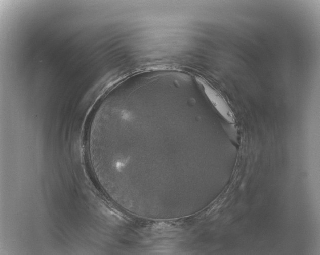 X0000064740290200602241808