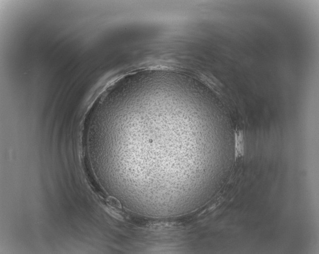 X0000064740291200602241808