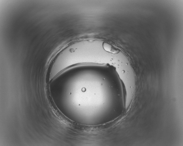 X0000064740293200602241808