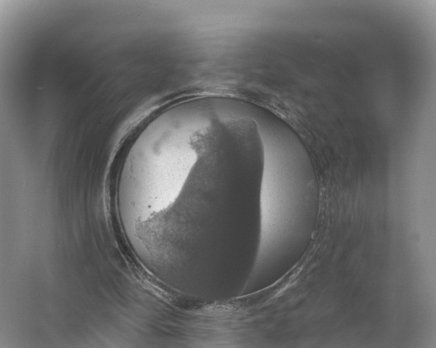 X0000064740294200602241808