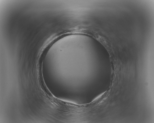 X0000064740295200602241808