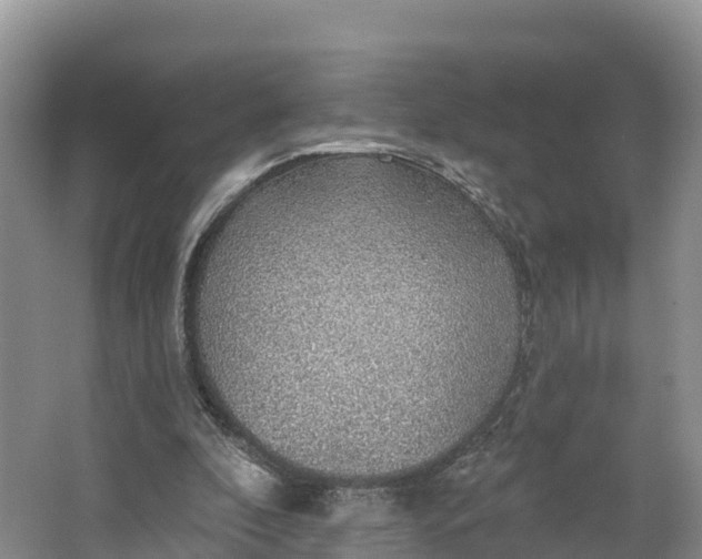 X0000064740296200602241808