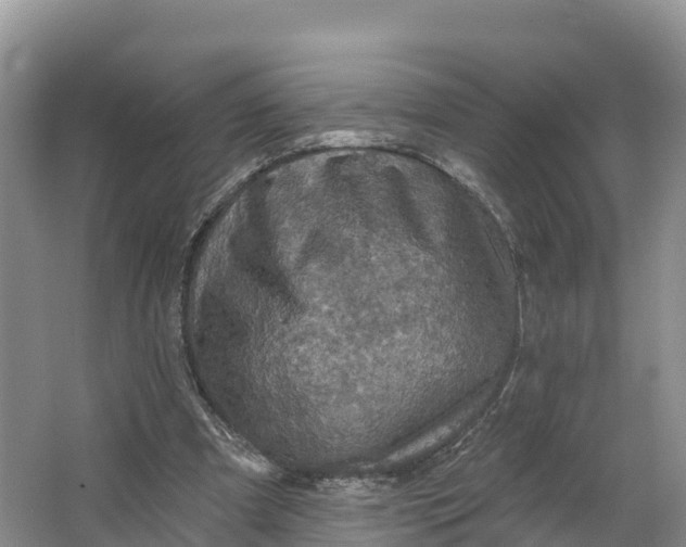 X0000064740297200602241808