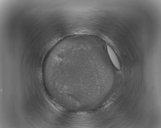 X0000064740298200602241808