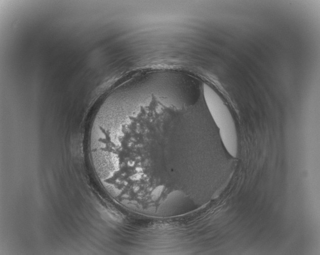 X0000064740299200602241808