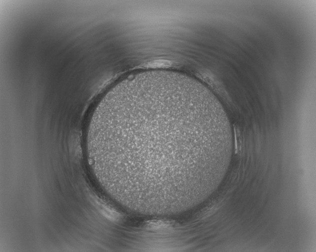 X0000064740300200602241808