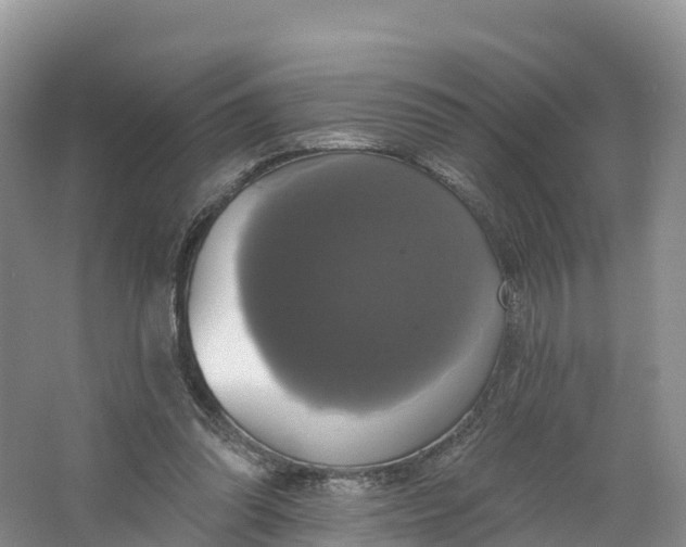 X0000064740302200602241807