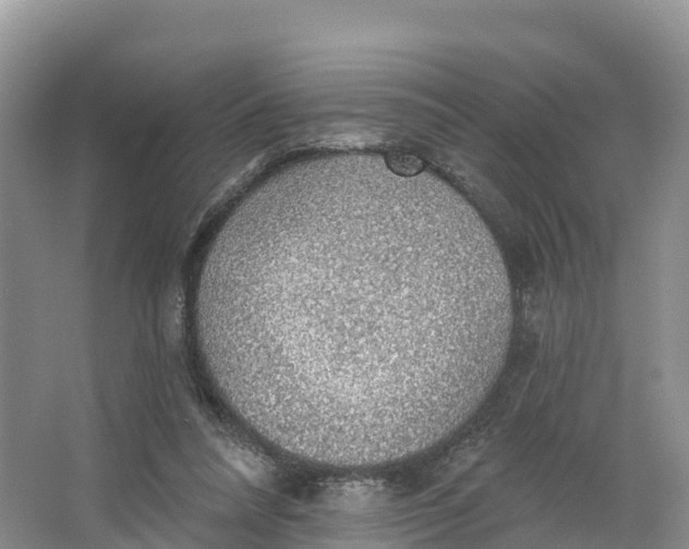 X0000064740304200602241807