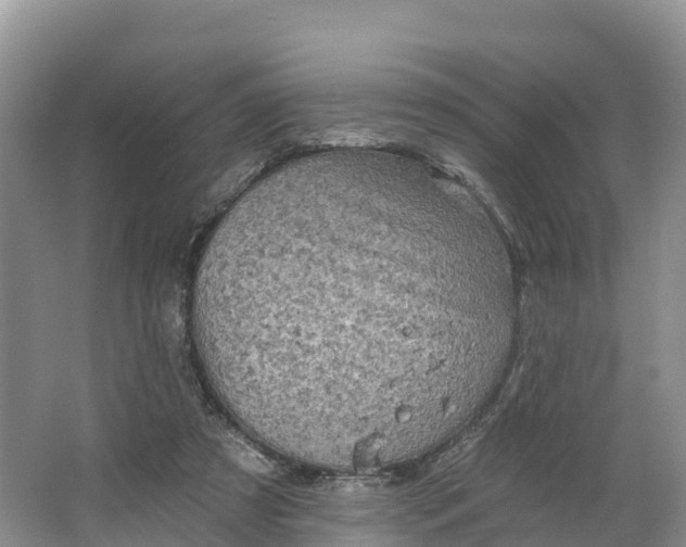 X0000064740305200602241807