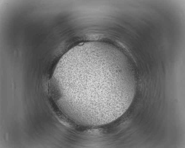 X0000064740307200602241807