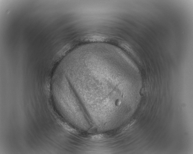 X0000064740309200602241807