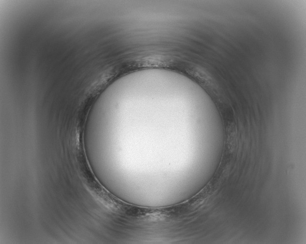 X0000064740310200602241807