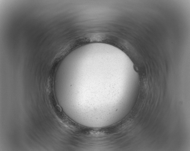 X0000064740311200602241807