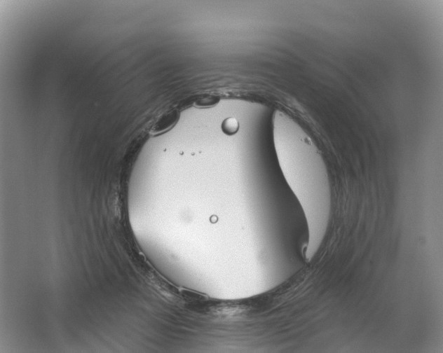 X0000064740313200602241807