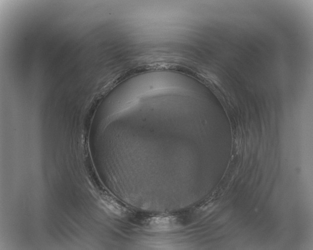 X0000064740314200602241807