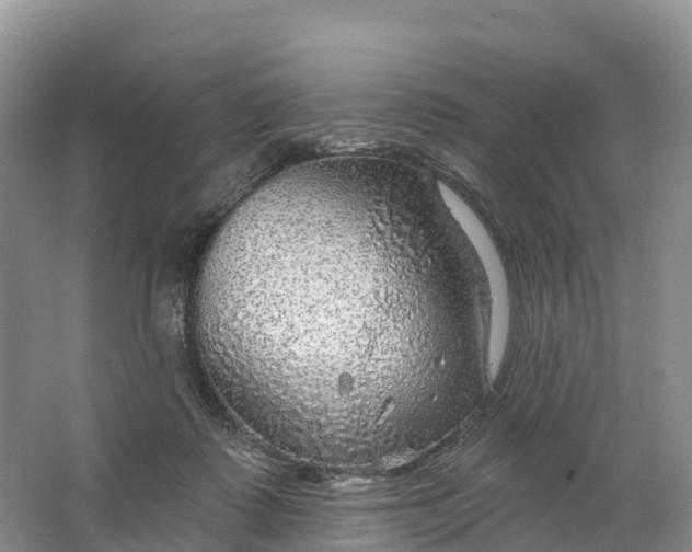 X0000064740315200602241807