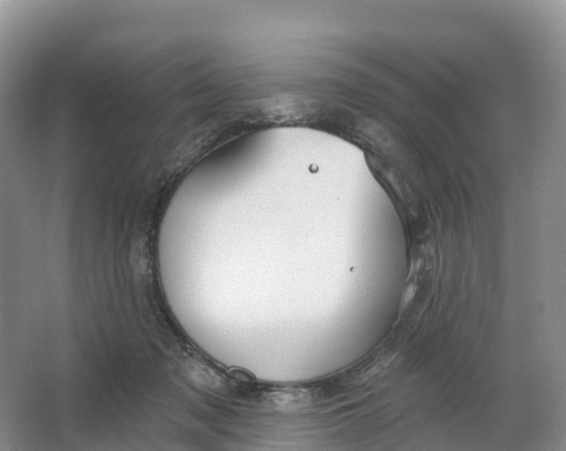 X0000064740317200602241807