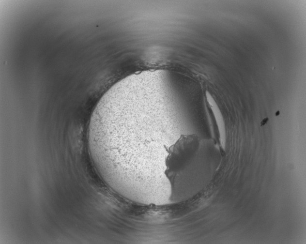 X0000064740319200602241807