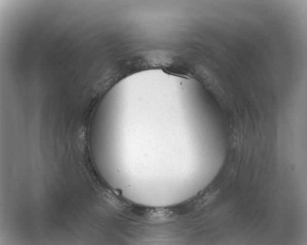 X0000064740321200602241807