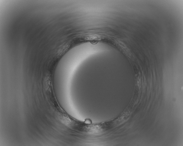 X0000064740322200602241807