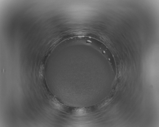 X0000064740325200602241807