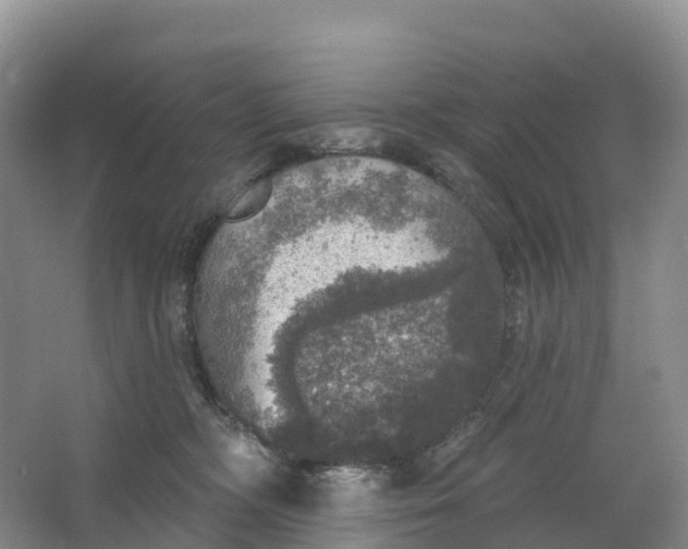 X0000064740326200602241807