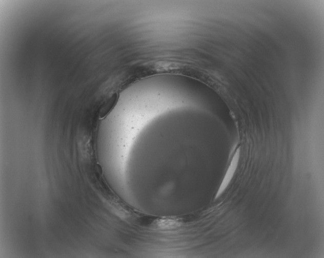 X0000064740327200602241807