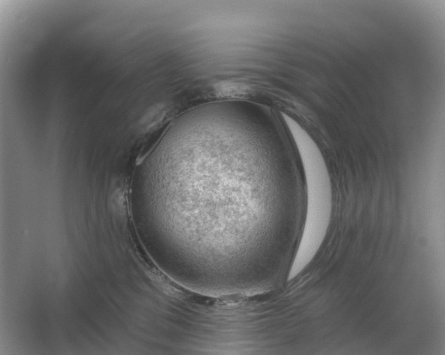 X0000064740329200602241807