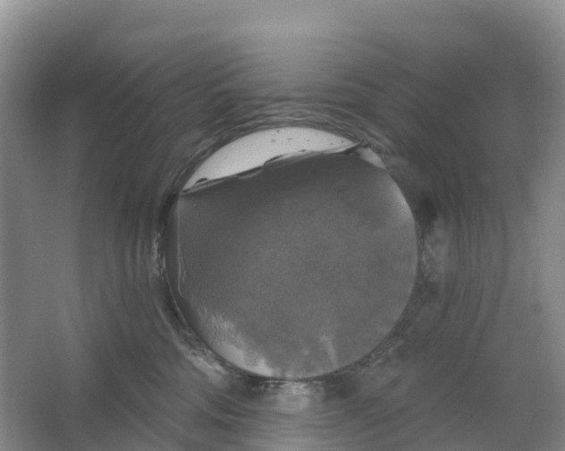 X0000064740330200602241807