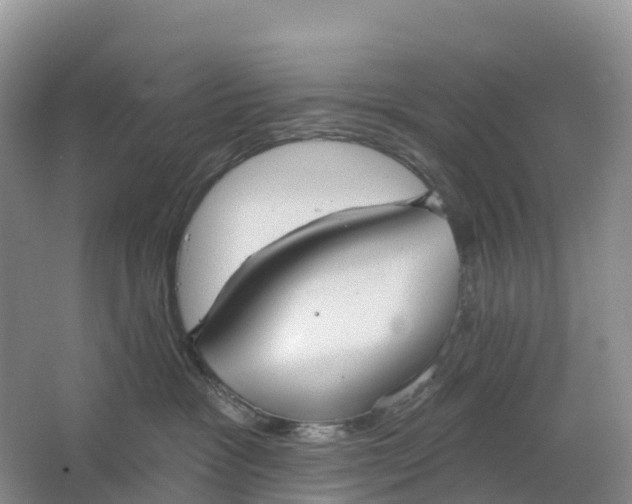 X0000064740333200602241807