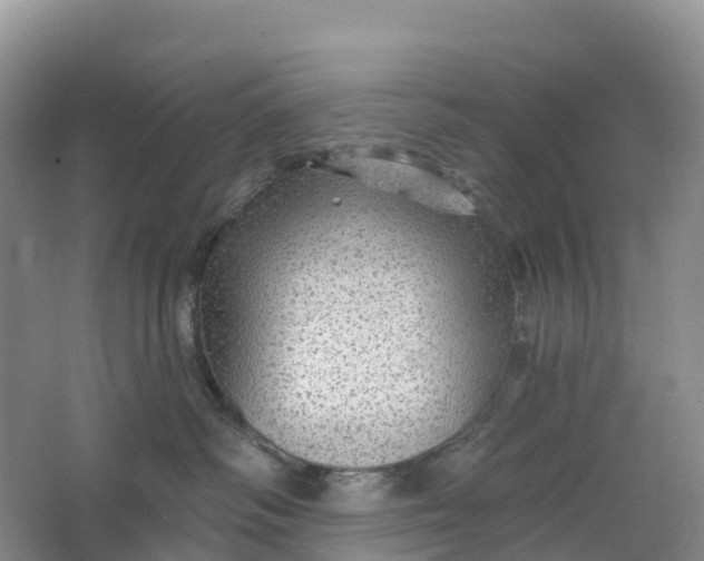 X0000064740334200602241807